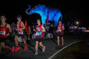 BIB: 
                            <button type="button" onclick="openModal(26551884)" class="btn btn-primary btn-sm float-right btn-popup" data-toggle="modal" data-target=".modal-high-quality">
                        <i class="fas fa-shopping-cart"></i> Add to Cart
                    </button>
                                            <button type="button" onclick="isThisMe(26551884, true)" class="btn btn-success btn-sm float-right btn-popup btn-isme hidden" data-toggle="tooltip" data-placement="bottom" title="นี่คือรูปของคุณใช่ไหม คลิกที่นี่เพื่อเอาเข้าอัลบั้ม">
                        <i class="fas fa-plus"></i> Add to album
                    </button>
                    <button type="button" onclick="isThisMe(26551884, false)" class="btn btn-warning btn-sm float-right btn-popup btn-isnotme hidden">
                        <i class="fas fa-ban"></i> Remove from album
                    </button>